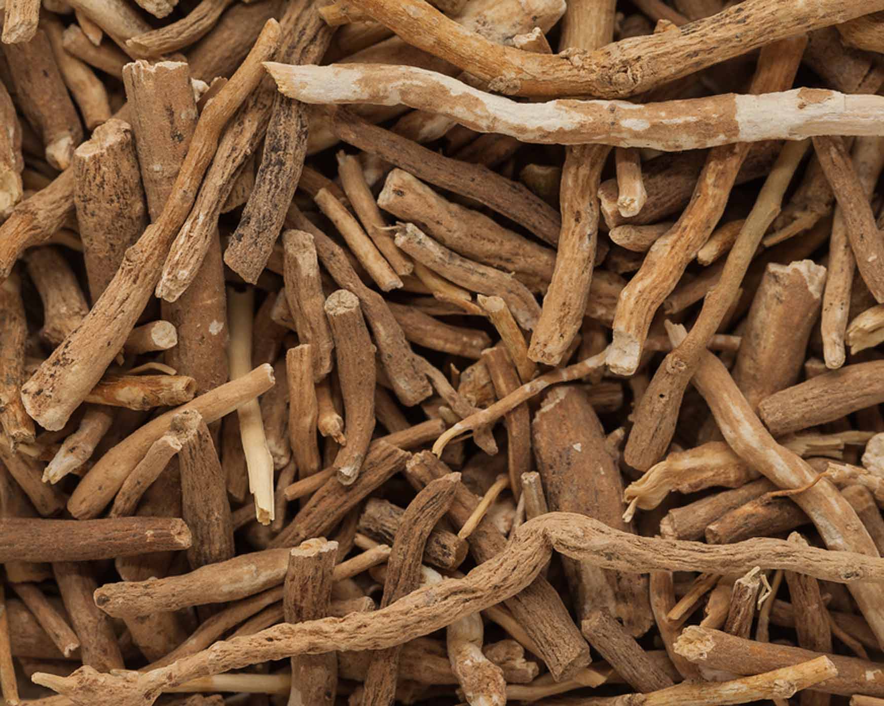 ASHWAGANDHA- THE SMELL AND STRENGTH OF A HORSE