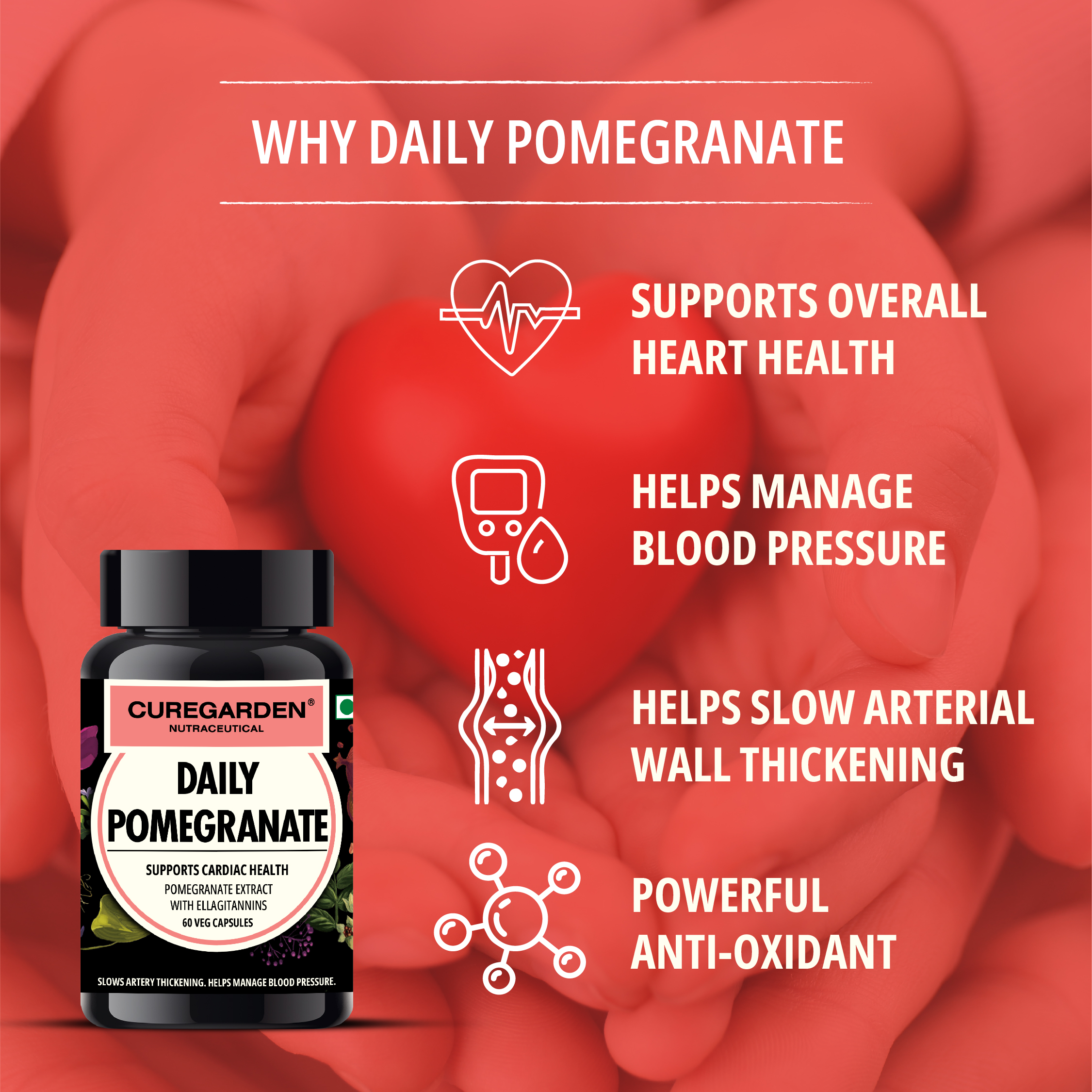 DAILY POMEGRANATE