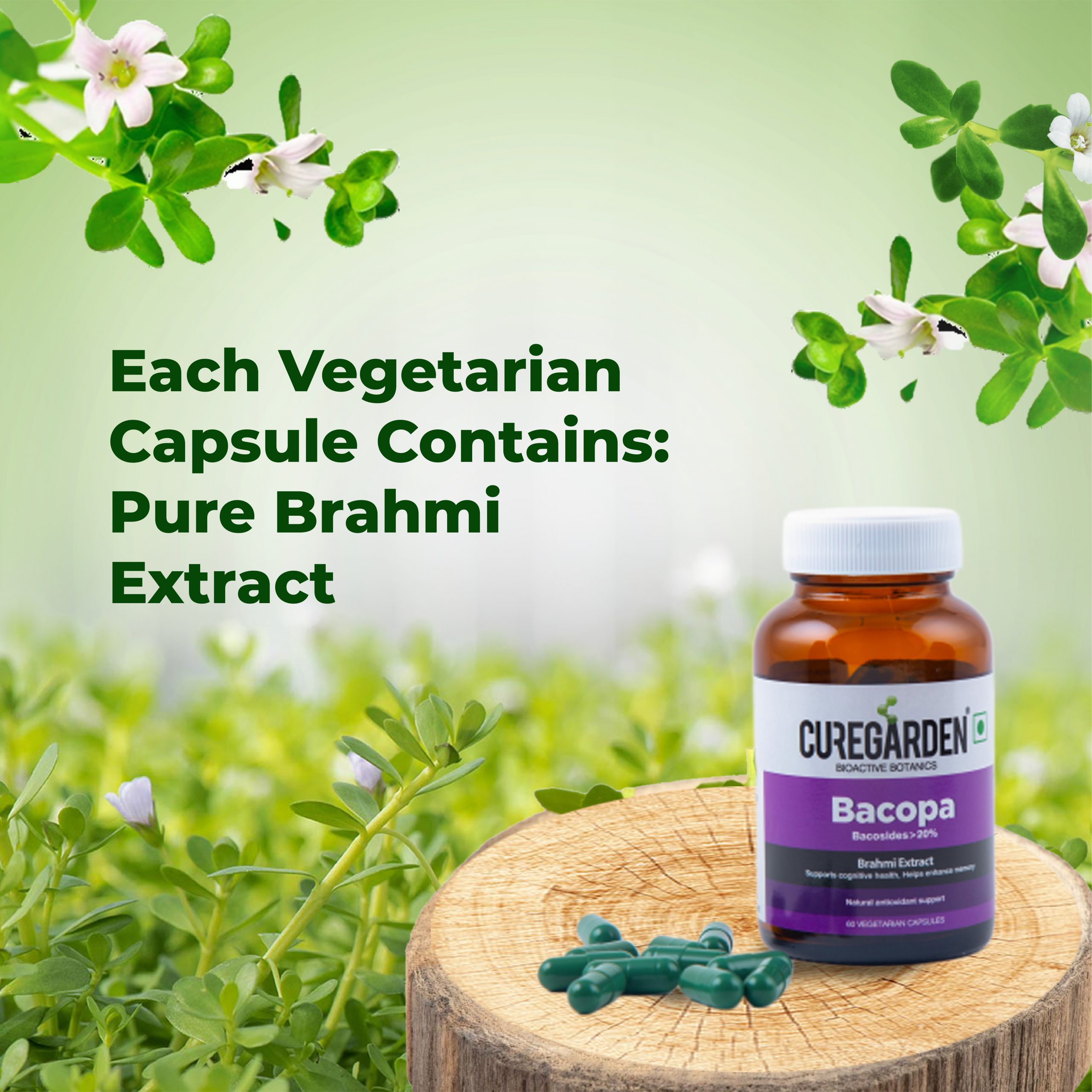 Bacopa