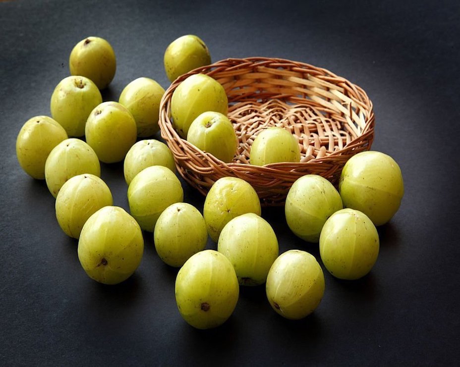 8 reasons why you should include amla capsules in your diet?