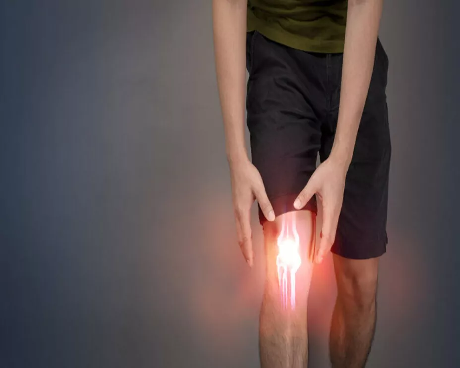 How Joint Health Supplements Work to Support Your Joints ?
