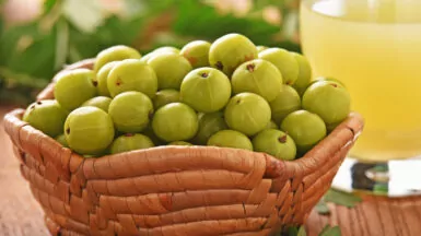 The Ultimate Guide to Choosing the Best Amla Capsules