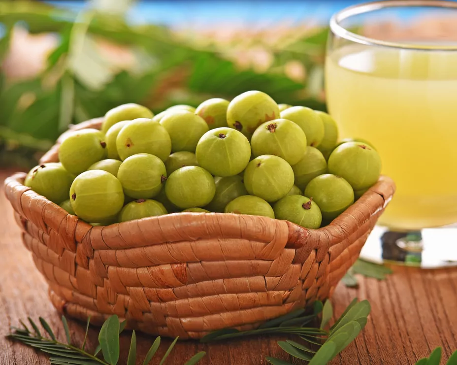 The Ultimate Guide to Choosing the Best Amla Capsules.