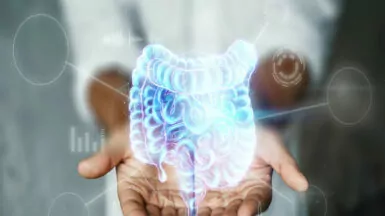 Role of fibre in digestive health