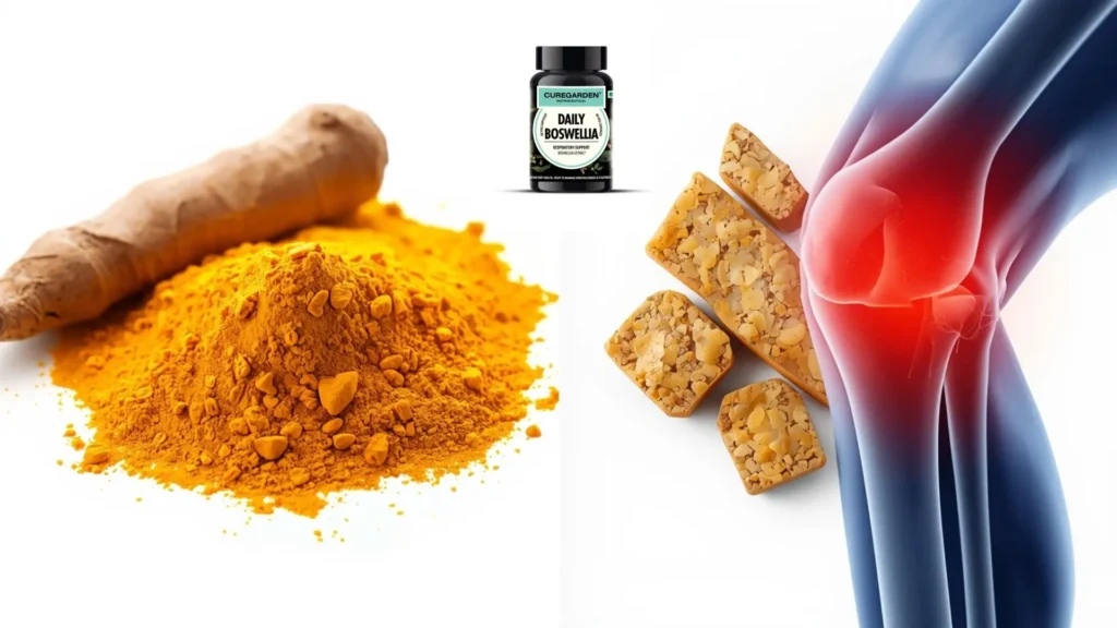 curcumin-vs-boswellia-joint-pain-mobility-2026